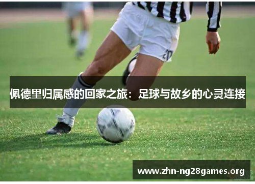 佩德里归属感的回家之旅:足球与故乡的心灵连接 佩德里归属感的回家之旅:足球与故乡的心灵连接